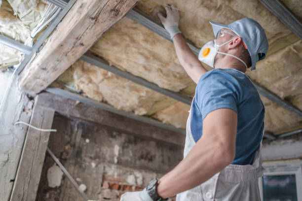 Best Insulation Maintenance and Repair in Osceola, AR