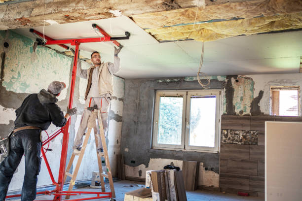 Best Cellulose Insulation in Osceola, AR