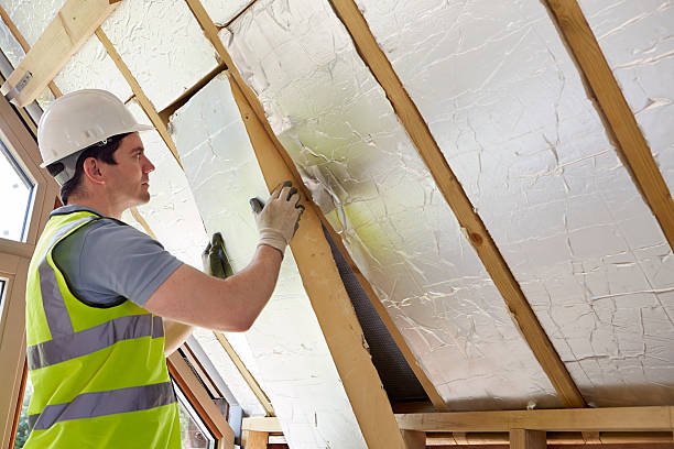 Best DIY Insulation Kits and Guidance in Osceola, AR