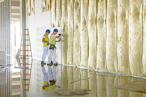 Best Insulation for Specific Applications in Osceola, AR